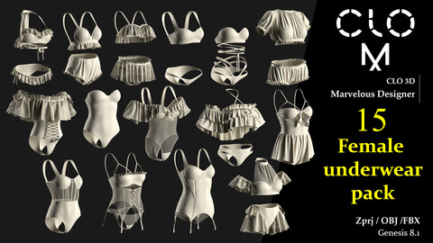 Female underwear pack / Marvelous Designer/Clo3D project file + OBJ, FBX