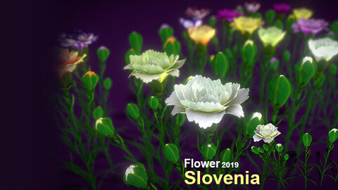 Flower Slovenia