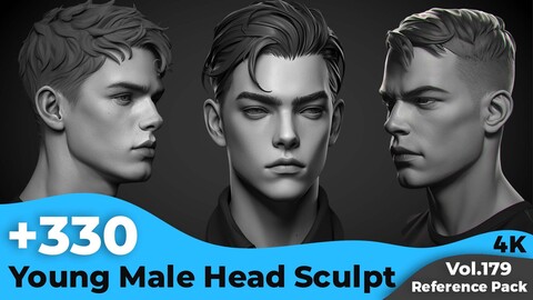 +330 Young Male Head Sculpt Reference(4k)