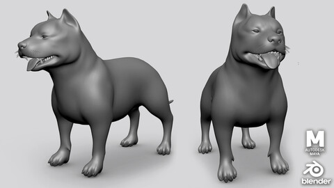 PitBull Dog ( Base Mesh) - Topology + UV map