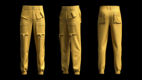 Cargo Track Pant 3D Model