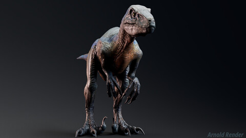 Raptor Dinosaur - Hybrid Velociraptor - Unreal Engine -  Projects