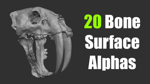 Bone Surface Alphas