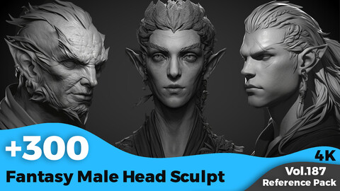 +300 Fantasy Male Head Sculpt Reference(4k)