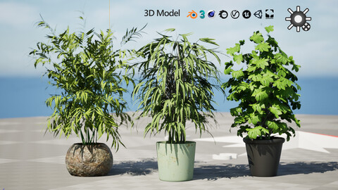 Palm Tree Potted Models