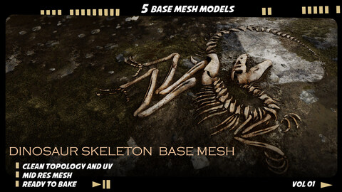 Dinosaur skeleton base mesh-vol 01