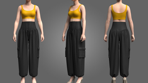 Women Crop top and genie pant_3D Model