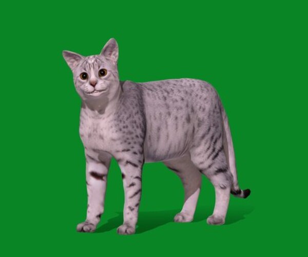 ArtStation - Egyptian Mau Cat | Game Assets