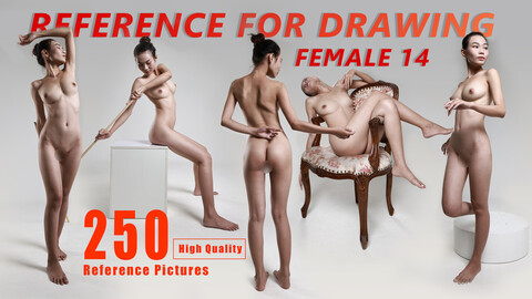 Drawing Reference - Female 14