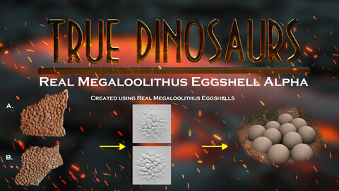 TRUE DINOSUARS: Megaloolithus Eggshells