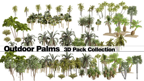 Outdoor Palms 3d Pack