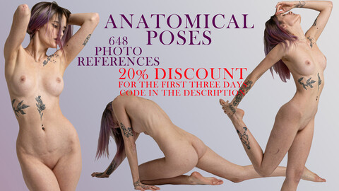 Anatomical poses 648 photo references