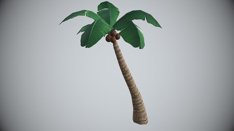 Palm Coconut Tree