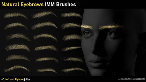 Natural Eyebrows IMM Brushes