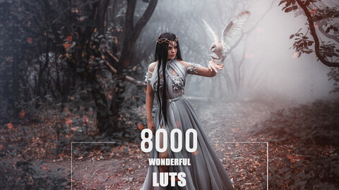 8000 Wonderful LUTs & Presets Bundle