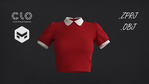 Collar Top 3D Model