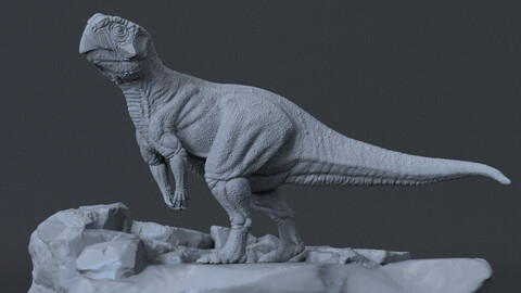 Psittacosaurus 2 for 3D Printing