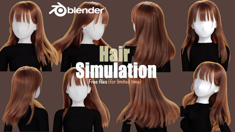 Hair simulation Test files