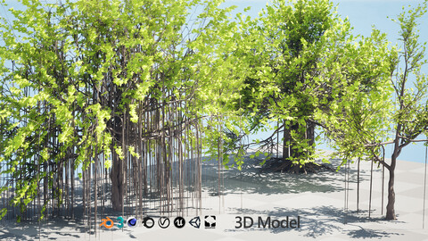 Ficus Carica 3D Model