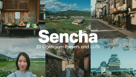 20 Sencha LUTs & Lightroom Presets