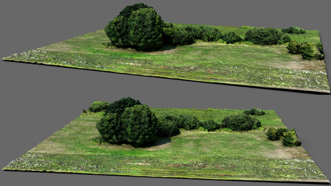 lowpoly trees terrain area drone photogrammetry