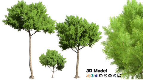 Low Poly Stone Pine Trees