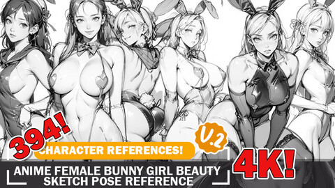 394 Various Anime Female Bunny Girl Beauty Sketch Pose Characters Reference Intricate Designs and Designs Reference Art V2 4K