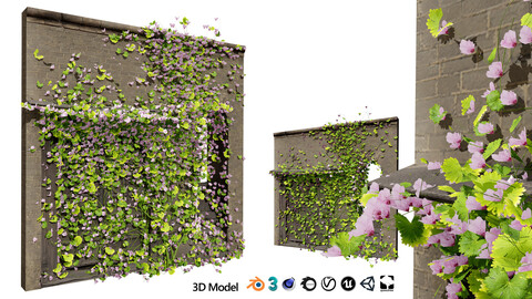 Kenilworth Ivy Wall Plant 3D Model