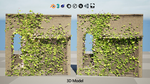 Kenilworth Ivy Wall Plant 3D Model