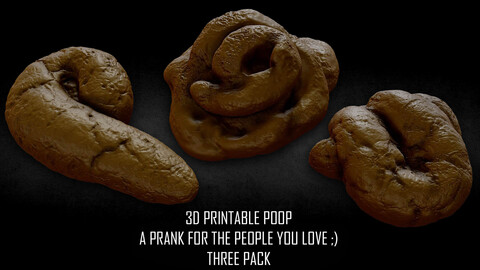 3D PRINTABLE POOP PRANK THREE PACK