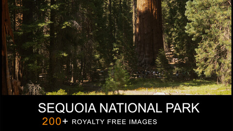 Sequoia National Park