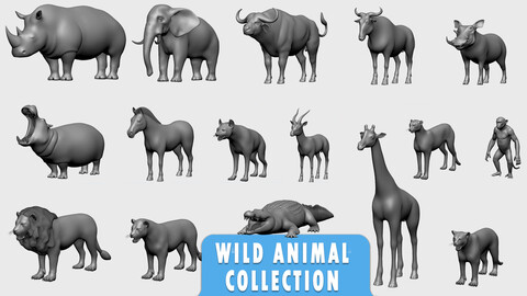 16 Wild Animals BaseMesh Collection