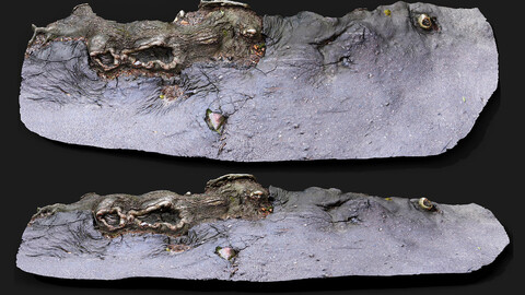 tree roots damaged road asphalt pt1 photogrammetry