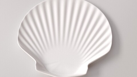 Shell Plate