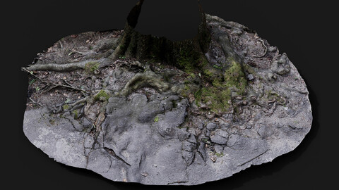 tree roots damaged road asphalt pt2 photogrammetry