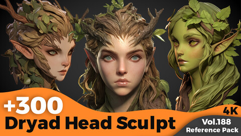 +300 Dryad Head Sculpt Reference(4k)