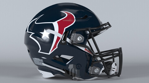 HOUSTON TEXANS Helmet Football AFC SOUTH PBR