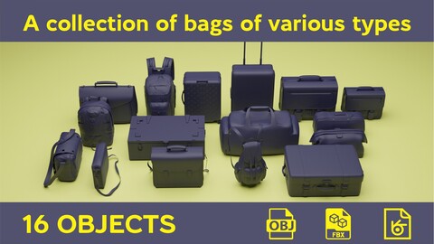 A collection of bags of various types