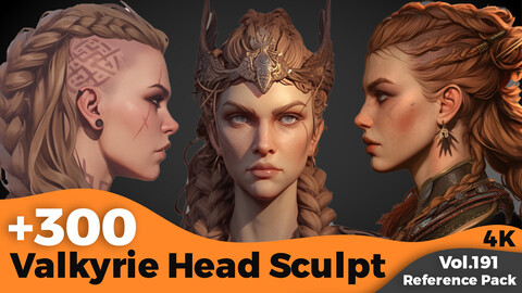 +300 Valkyrie Head Sculpt Reference(4k)