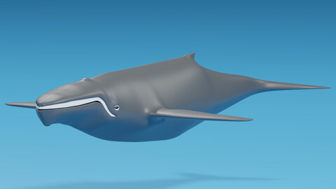 Cartoon Whale 3D model