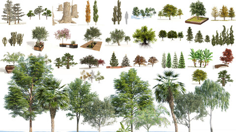 High-Quality and Medium-Poly Tree Collection