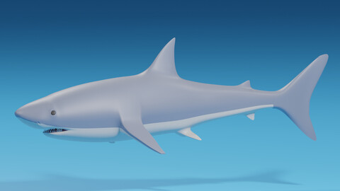 Cartoon Great White Shark 3D model