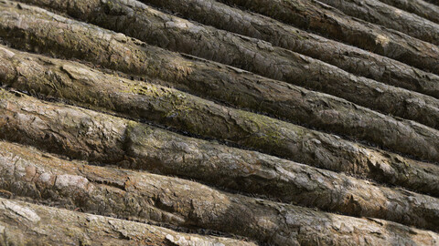 PBR - LOG SURFACE - 4K MATERIAL