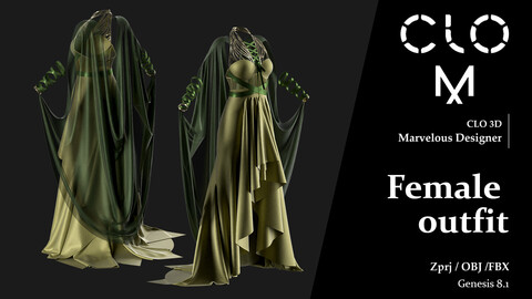 Female outfit / Marvelous Designer/Clo3D project file + OBJ, FBX