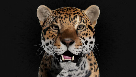 Realistic Jaguar-Black Jaguar For Production