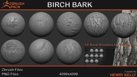 Zbrush Pack - x10 Birch Bark Pack