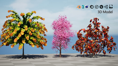 Judas Tree 3D Model