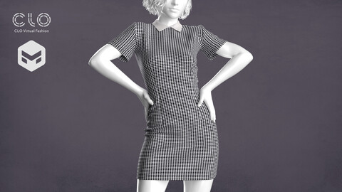 Collar Dress 3D Model - .zprj, .obj