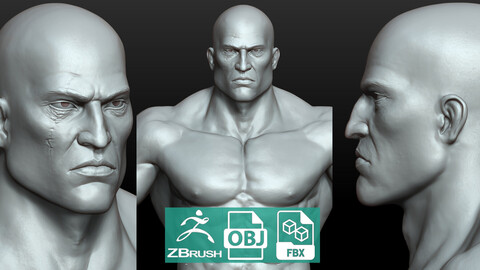 Fantasy Strong Muscle Man bust Kratos Highpoly Mesh highpoly lowpoly fantasy anatomy young zbursh human torso head body foot hand basemesh character man muscle strong games