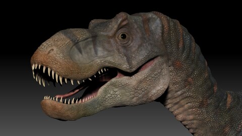 Baby Tyrannosaurus Rex Sculpt Project